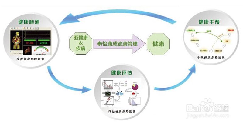 中医体质辨识：探秘个人健康密码